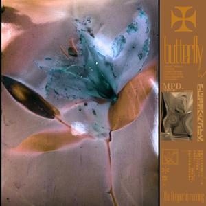 两人做爱动作片
